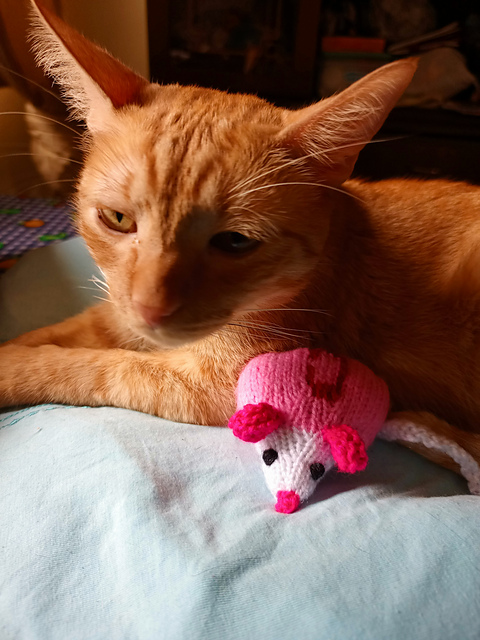 Pink Mouse Toys for Cats