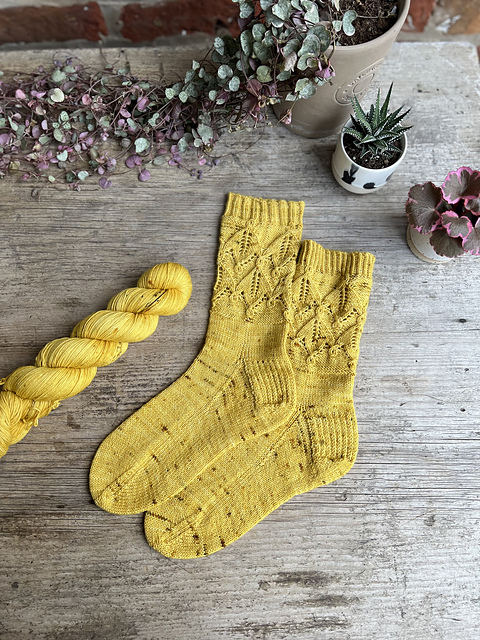 Twin Flowers Socks