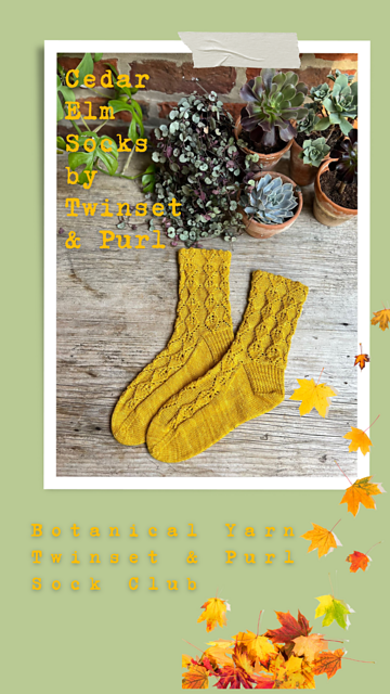 Cedar Elm Socks