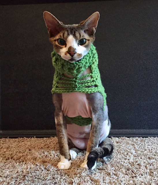 Roxannes Foxy Feline Sweater