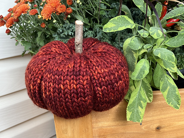Pepo Pumpkin