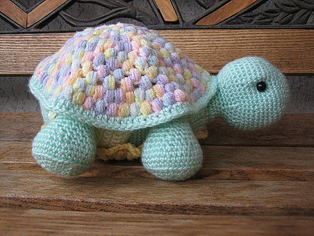 Baby Misty Turtle