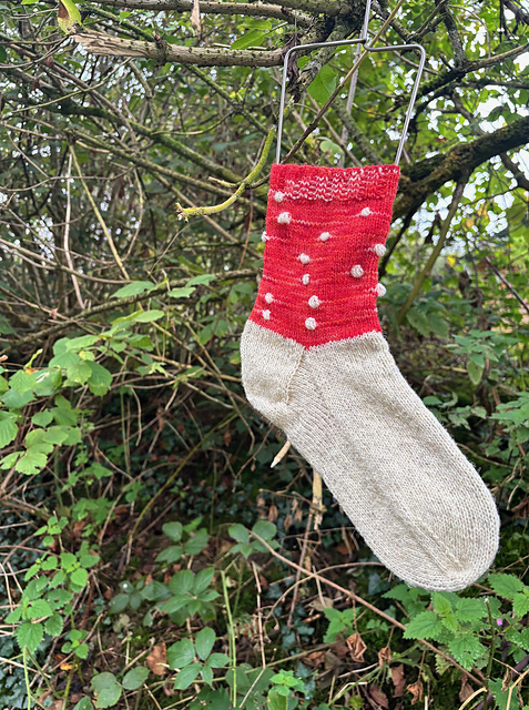 Fly Agaric Socks