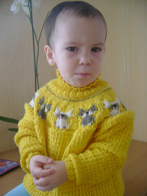 10 Dogs Sweater
