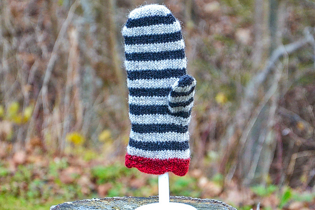 Quick and easy mitt