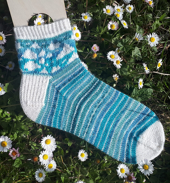Tom Blue Socks