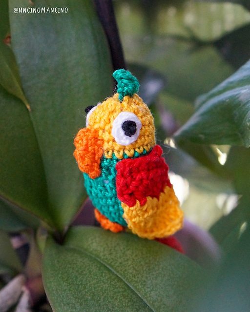 Paco the Parrot Amigurumi