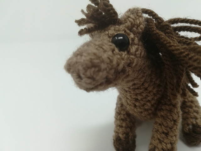 Miniature Pony