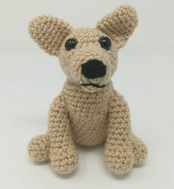 Chihuahua