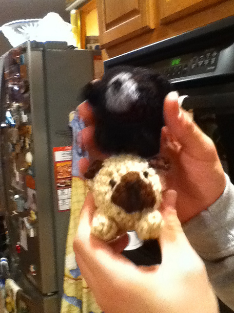 Crochet Pug