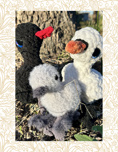 Swan family
