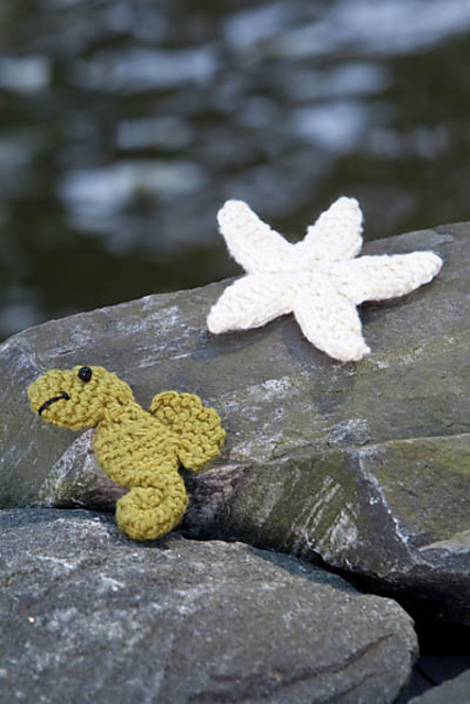 Seahorse and Starfish