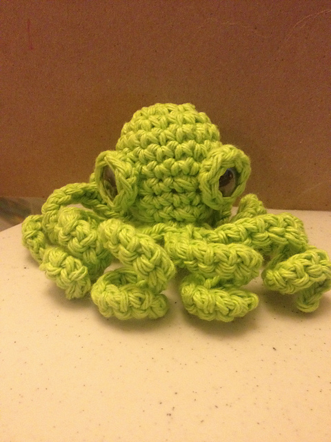 Octopus