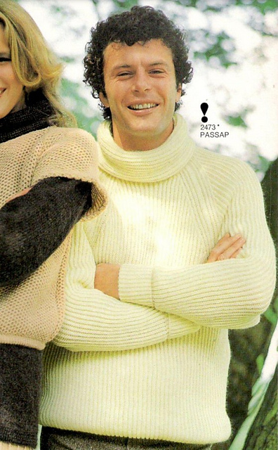 2473 Polo neck sweater