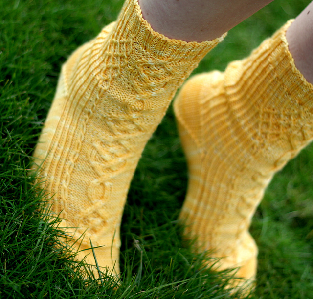 Discovery Socks