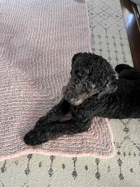 Ruby's Mitered Square Blanket