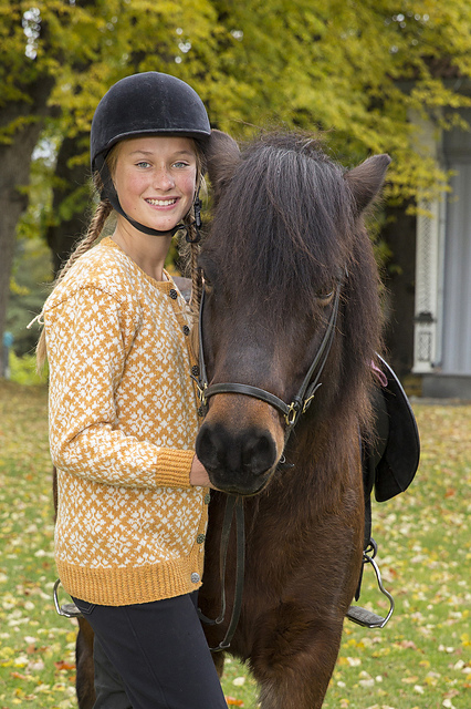 Dandelion cardi / Løvetann