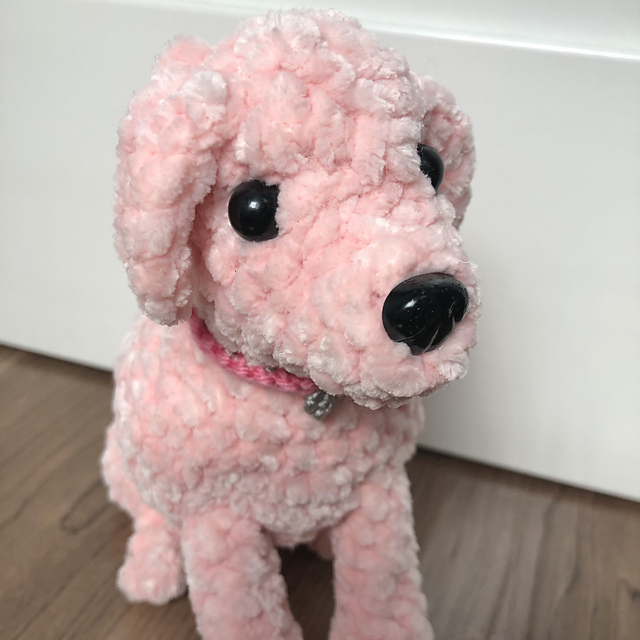 Dolly the Dog
