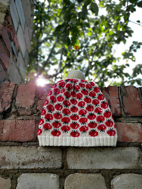 Tomatoes Hat