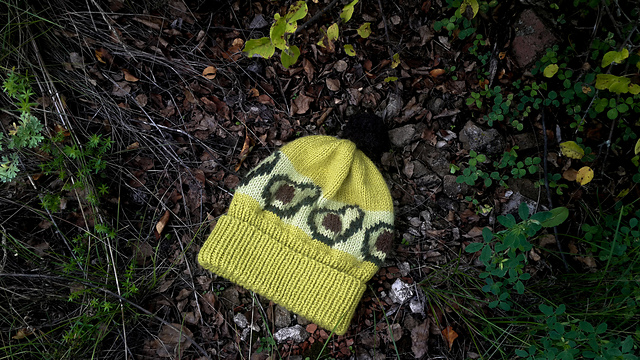 Cute Avocado HAT