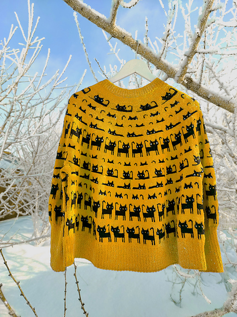 Ravelry: Cat Field Sweater pattern by Svetlana Gibadullina