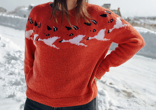 Fox & Swan Illusion Sweater