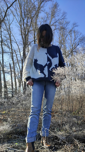 Night & Day Cats Sweater