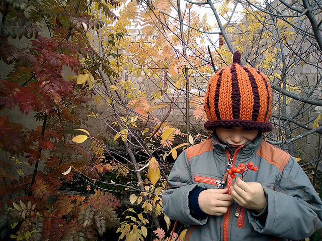 Cute Pumpkin hat