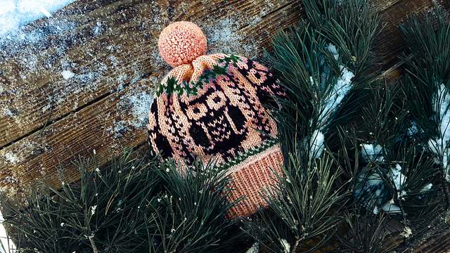 Cute Owls Hat