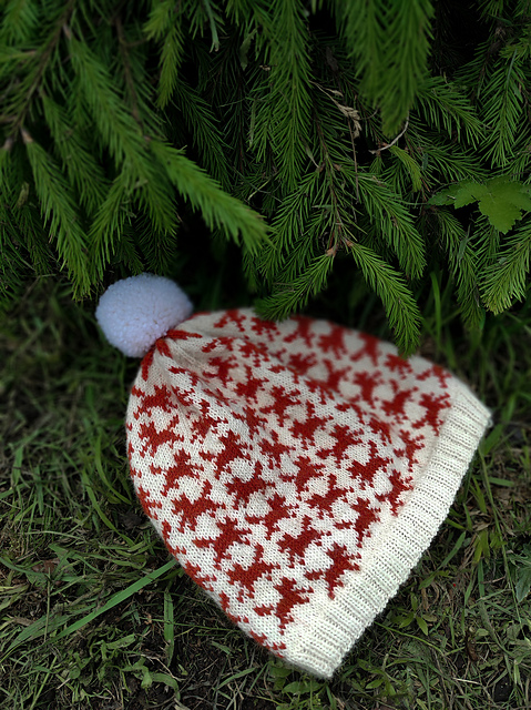 Runaway Foxes Hat