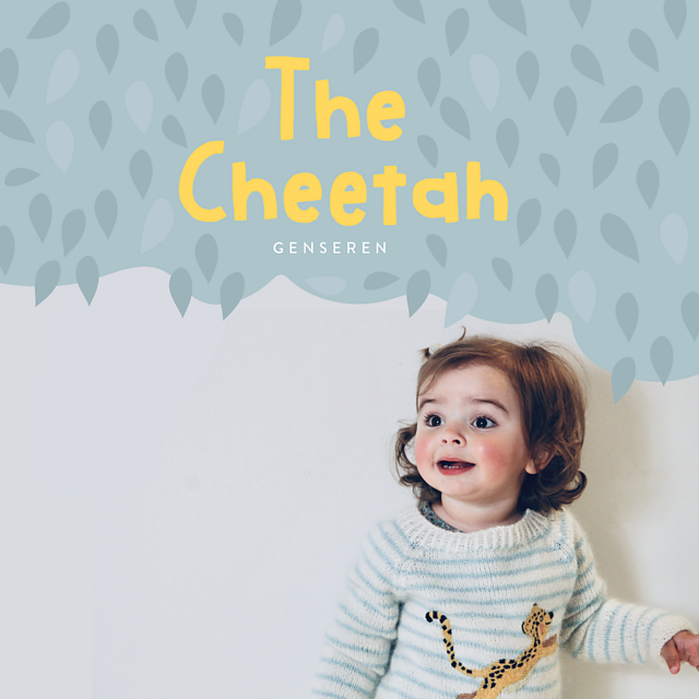 The Cheetah