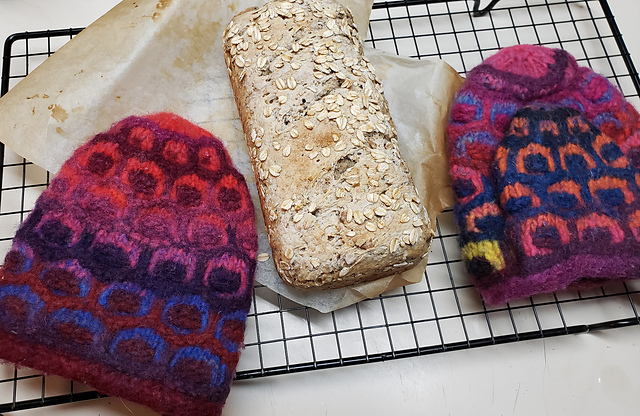 Dragon Oven Mitts