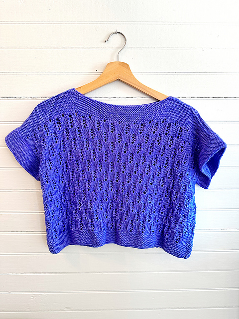 Cropper Lace Top