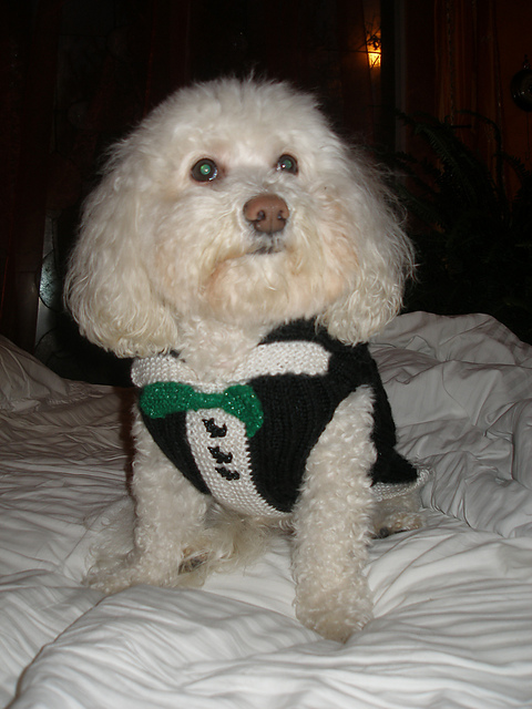 Tuxedo