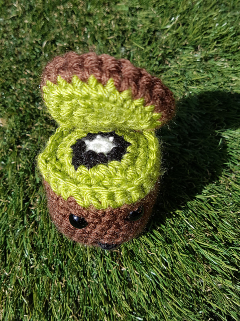 Katie the Kiwi