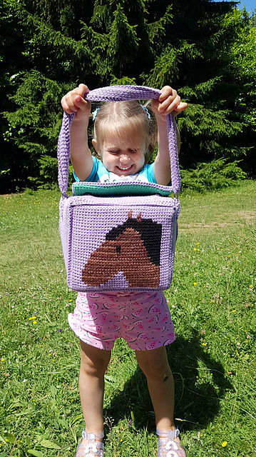 Horse Stable Adventure Bag