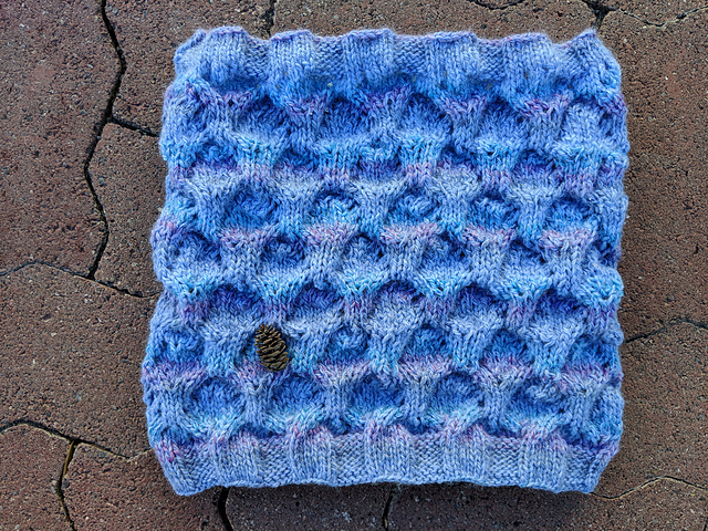 Smooth Blue Beardtongue Cowl