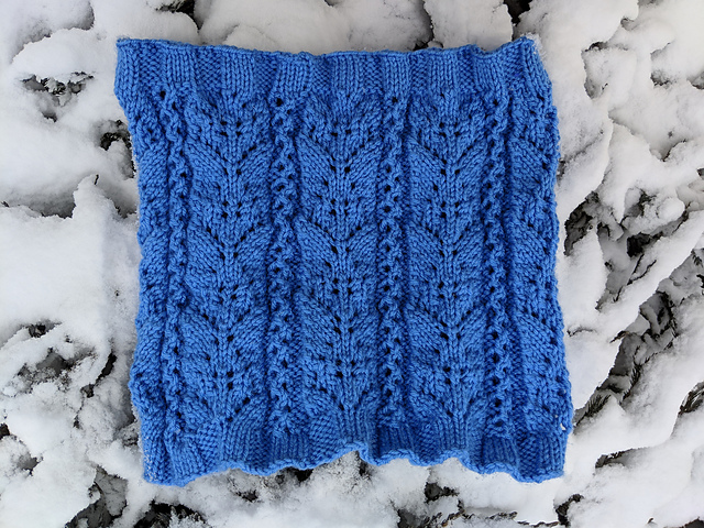 Steller's Jay Cowl