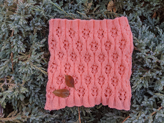 Eriogonum Cowl