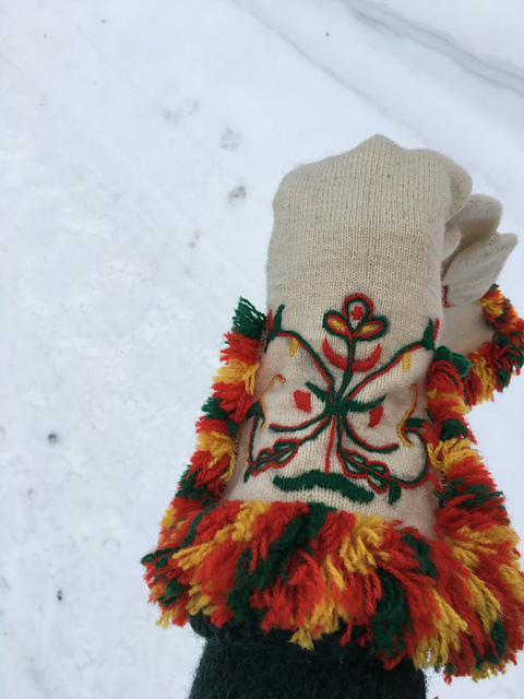 Vott fra Östre Slidre i Valdres