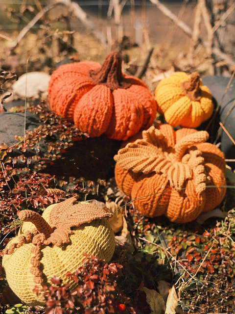 Two Pumpkins crochet
