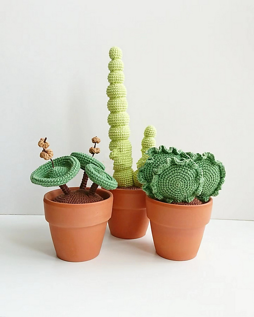 Succulents