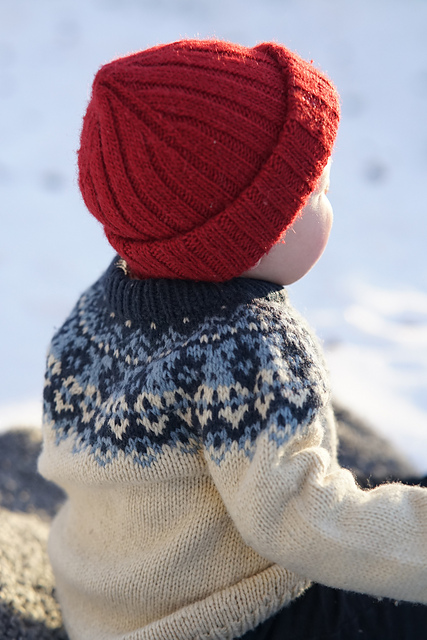 Vega sweater junior
