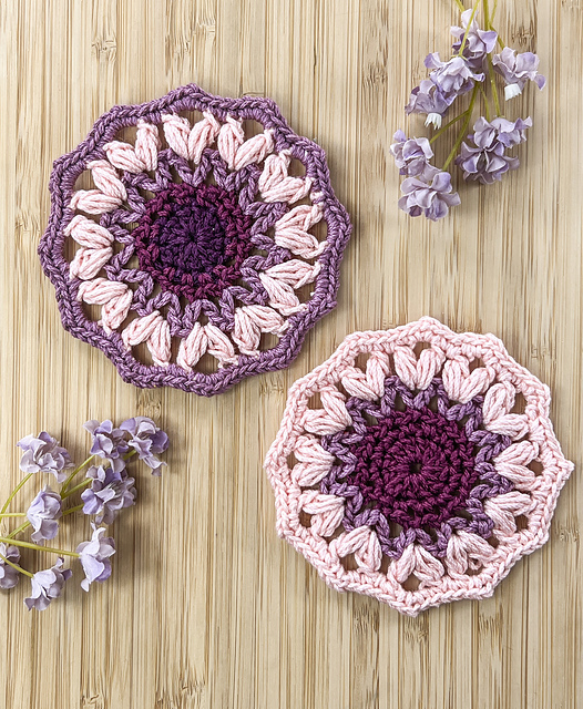 ACACIA Coaster