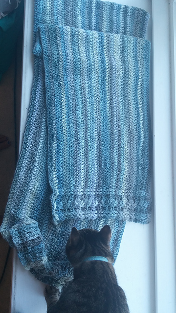 SpiffyNifty Cabled Shawl