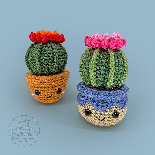 Barrel Cactus Cutie