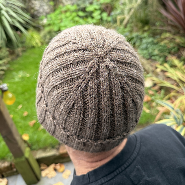 Ravelry: Cross Crown Beanie / 003 pattern by VitaCrafts