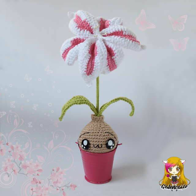 Lirium Bulb
