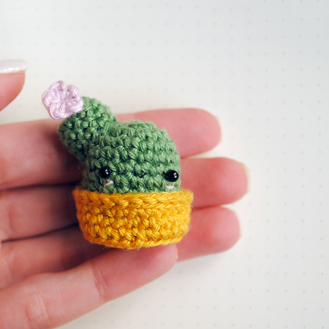Tiny Cactus