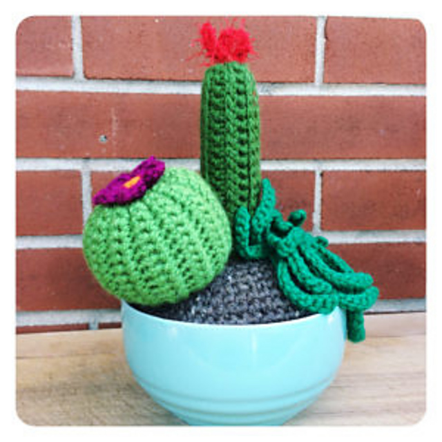 Cactus Garden